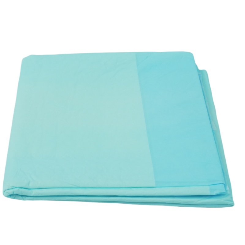 SURE CARE Disposable Underpad with Blue Back Sheet - image 1