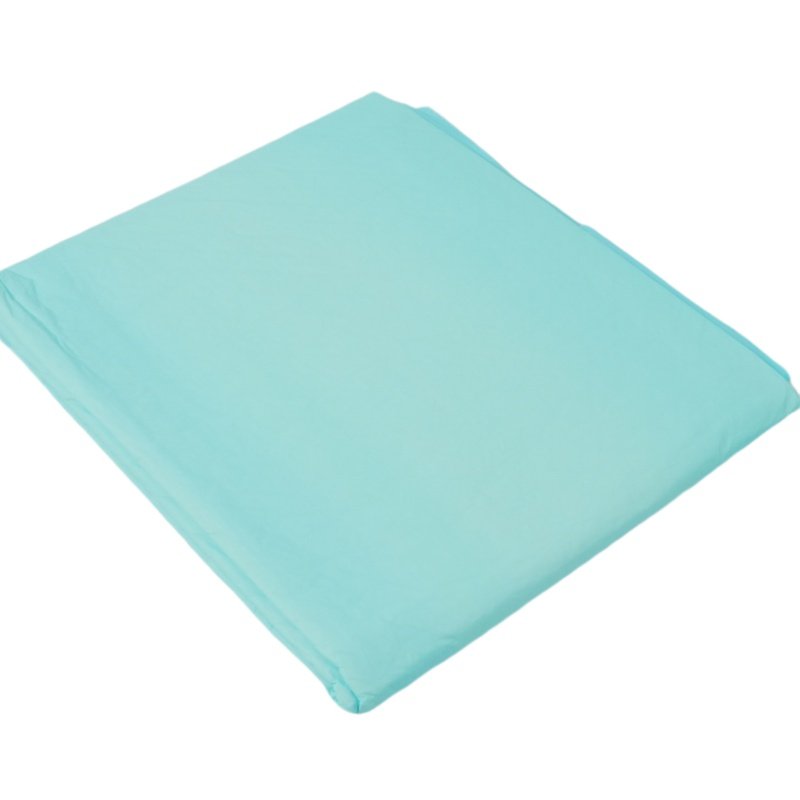 SURE CARE Disposable Underpad with Blue Back Sheet - image 2