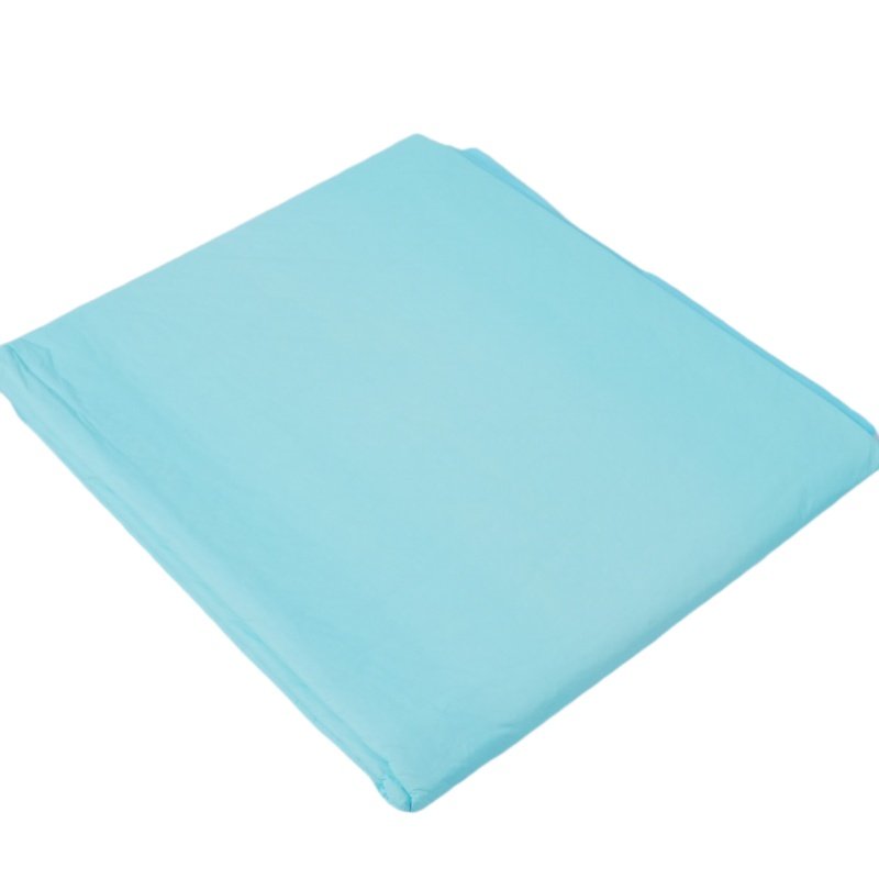 SURE CARE Disposable Underpad with Blue Back Sheet - image 3