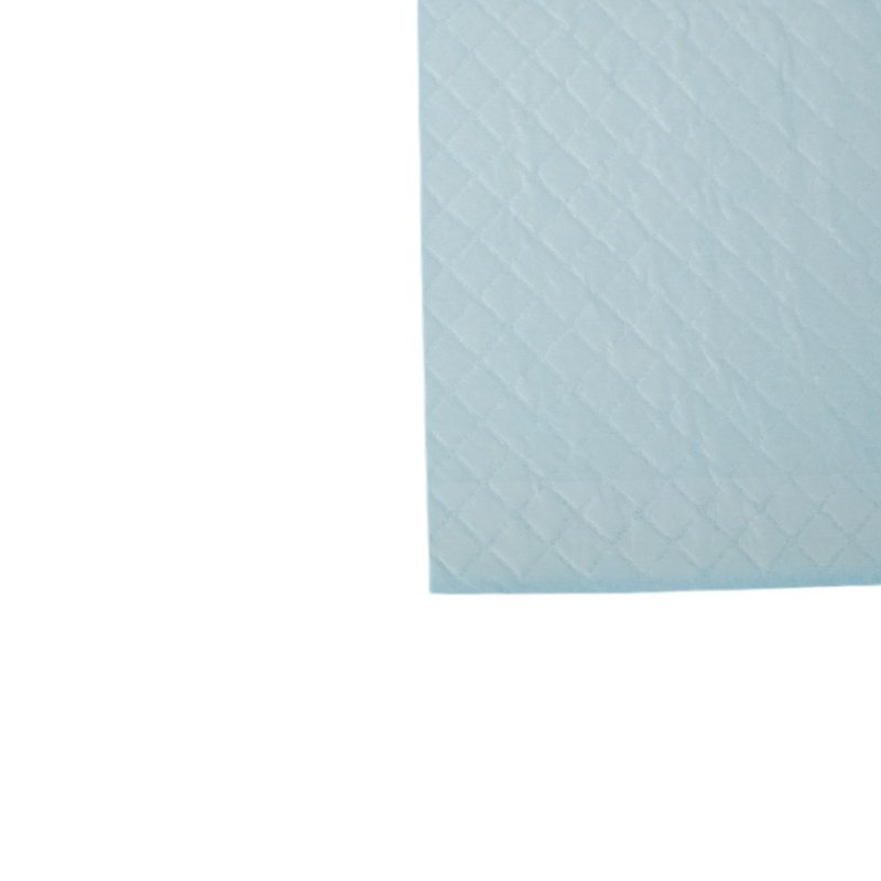 SURE CARE Disposable Underpad with Blue Back Sheet - image 6